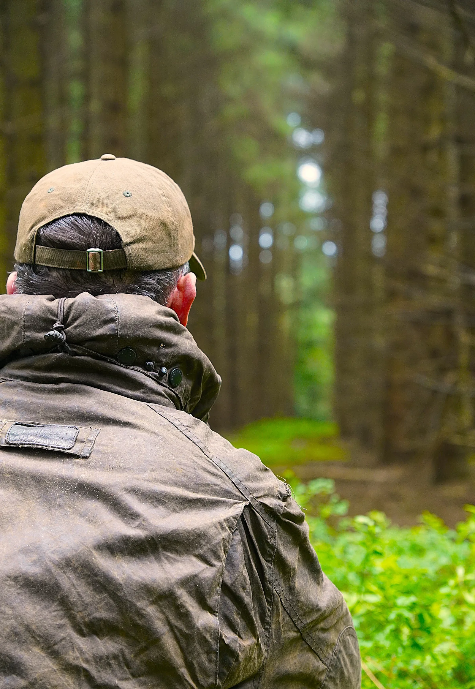 A person crouching quietly in woodland and looking through the trees